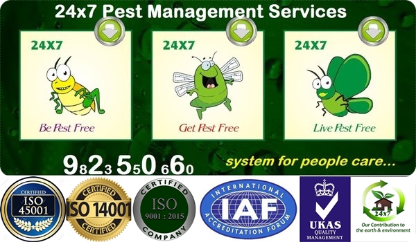 Commercial Pest Contol 3